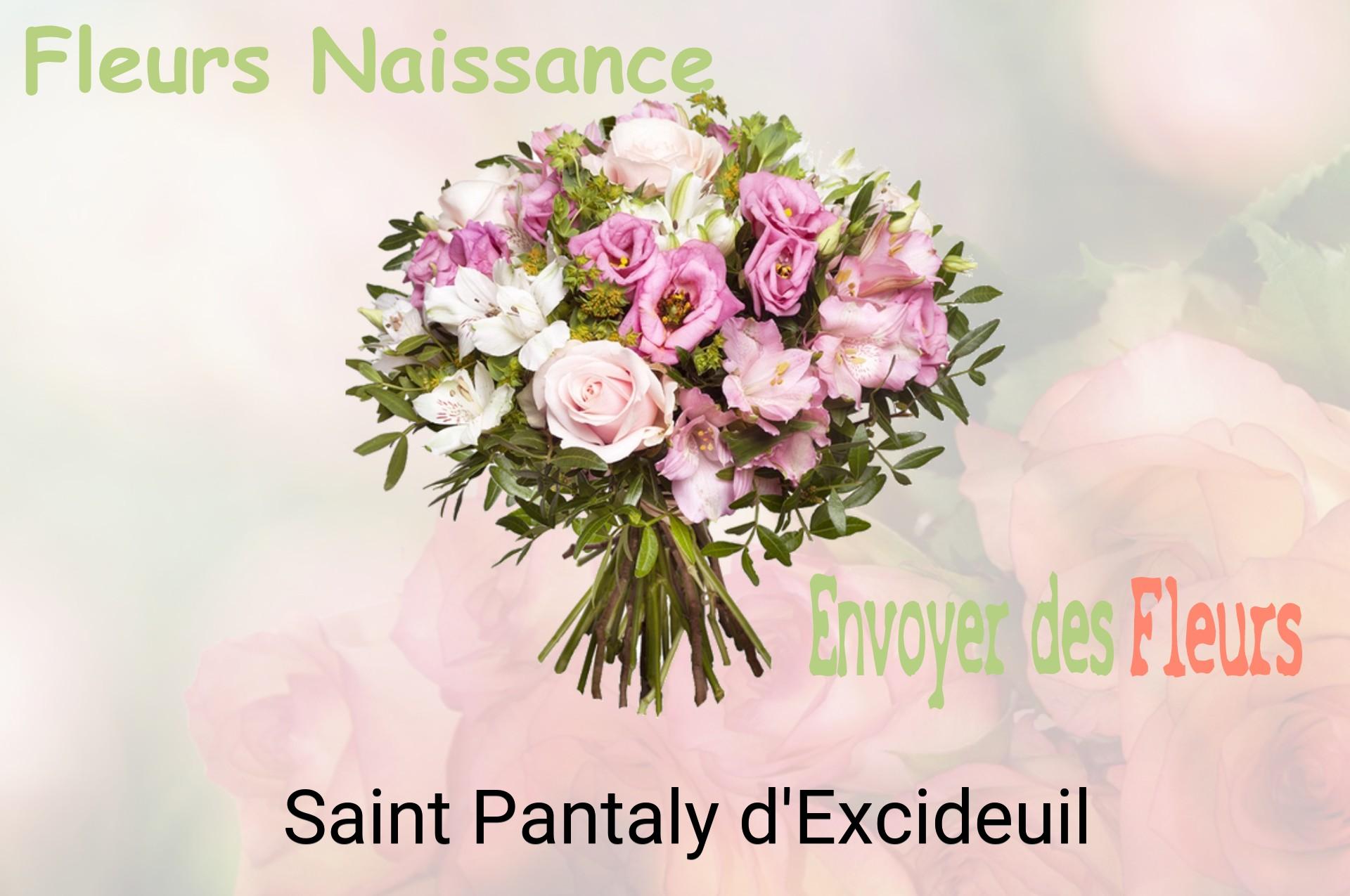 Bouquet de fleurs de naissance livré à Saint-Pantaly-d'Excideuil